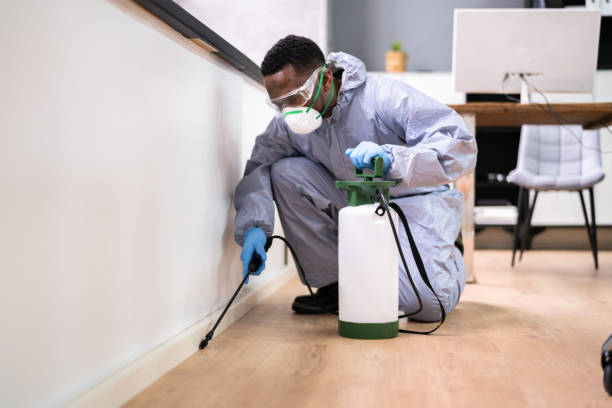 Real Estate Pest Inspections in Bonney Lake, WA